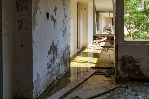 Cost of Water Removal Service in Jonesboro