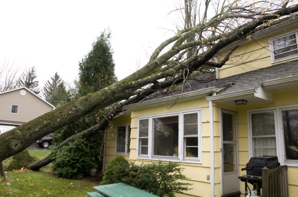 Hurricane Damage Repair in Jonesboro